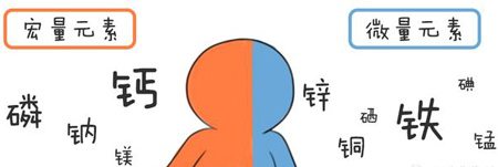 全自动茄子视频黄色下载帮助身体维持健康