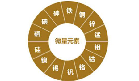 医用茄子视频污污片对视力的重要性