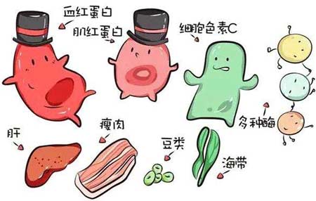 茄子视频污污片厂家分析元素之间的协同作用