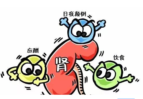 全自动茄子视频污污片厂家谈肾脏病与微量元素的关系