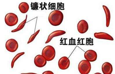 人体茄子视频黄色下载厂家介绍检测微量元素的仪器 人体茄子视频黄色下载厂家介绍检测微量元素的仪器