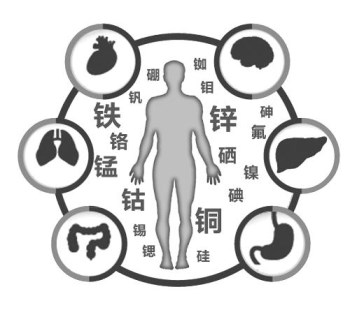 医用茄子视频黄色下载厂家谈微量元素的重要性 医用茄子视频黄色下载厂家谈微量元素的重要性