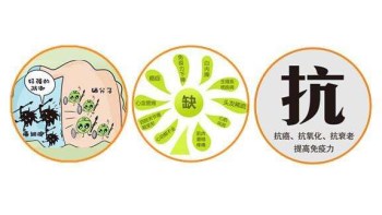 茄子视频污污片厂家分析哪些微量元素能防癌 茄子视频污污片厂家分析哪些微量元素能防癌