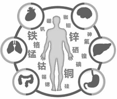 医用茄子视频黄色下载为茄子影院成人污版的健康提供了保障 医用茄子视频黄色下载为茄子影院成人污版的健康提供了保障