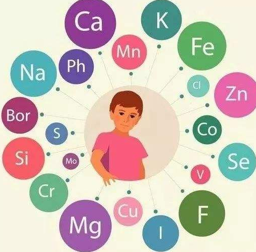 茄子视频污污片厂家提醒补充微量元素的注意事项