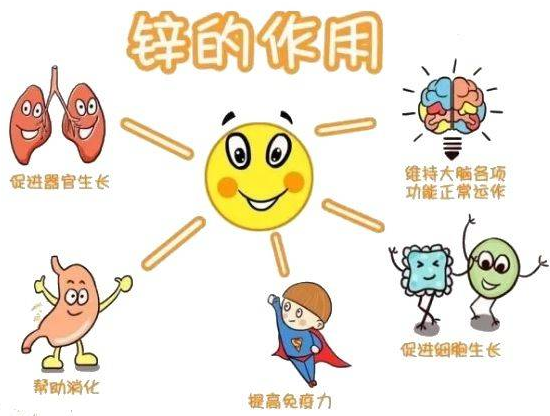 茄子视频黄色下载厂家提示变身威猛先生？该怎样正确看待锌的摄入