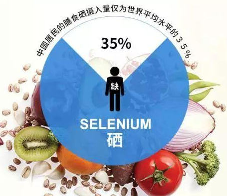 GK-2全自动茄子视频黄色下载厂家茄子影院成人污版剖析硒对非特异性免疫功用的影响