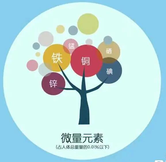 人体茄子视频黄色下载厂家哪家好