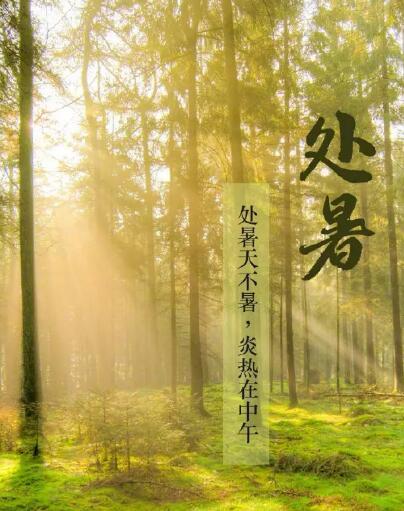 茄子视频黄色下载品牌茄子影院成人污版提醒处暑每天做3件事情，健脾开胃，稳定出伏