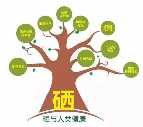 钙铁锌硒检测仪厂家提示什么叫有机硒和无机硒？科学补硒看看吧