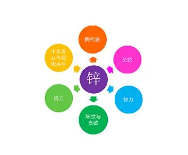 微量元素测定仪厂家提示关爱男士健康，适度补充锌元素也不能少！