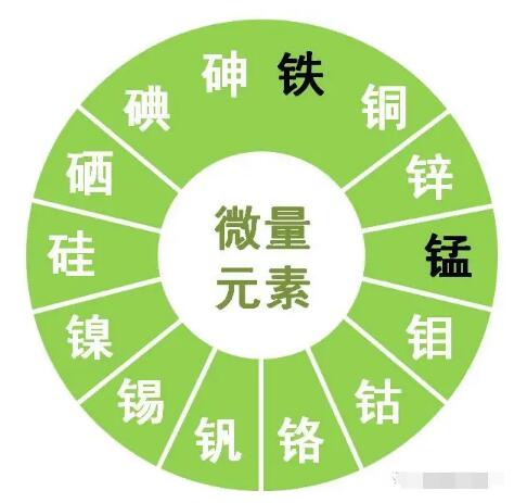 茄子视频黄色下载提示锌、硒、锰、钒等微量元素对男性生育有哪些作用？